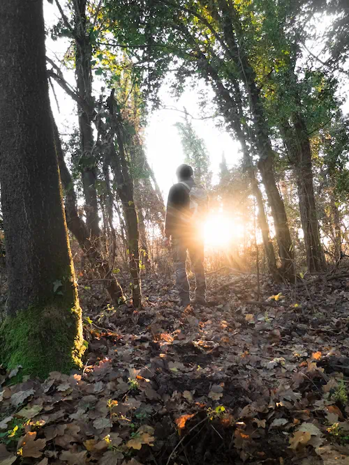Homme debout dans une forêt au soleil couchant. Il pratique le Shinrin Yoku pour s'ancrer à la terre et être aligné à l'univers