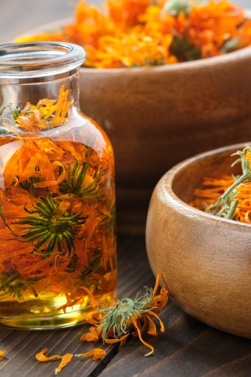 macérat de calendula le calendula pour calmer les irritations de la peau