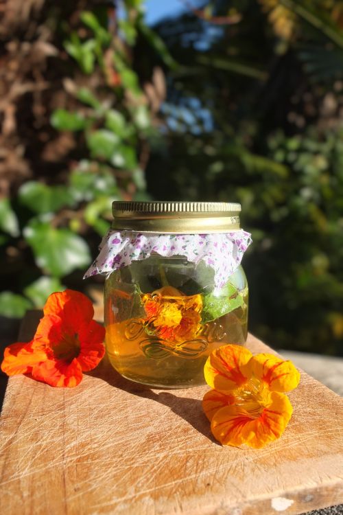 DIY macérat de capucines soin cheveux