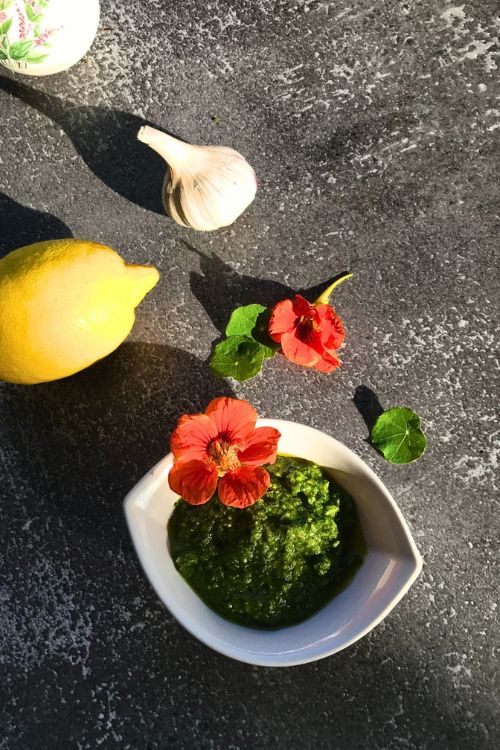 recette du pesto aux capucines