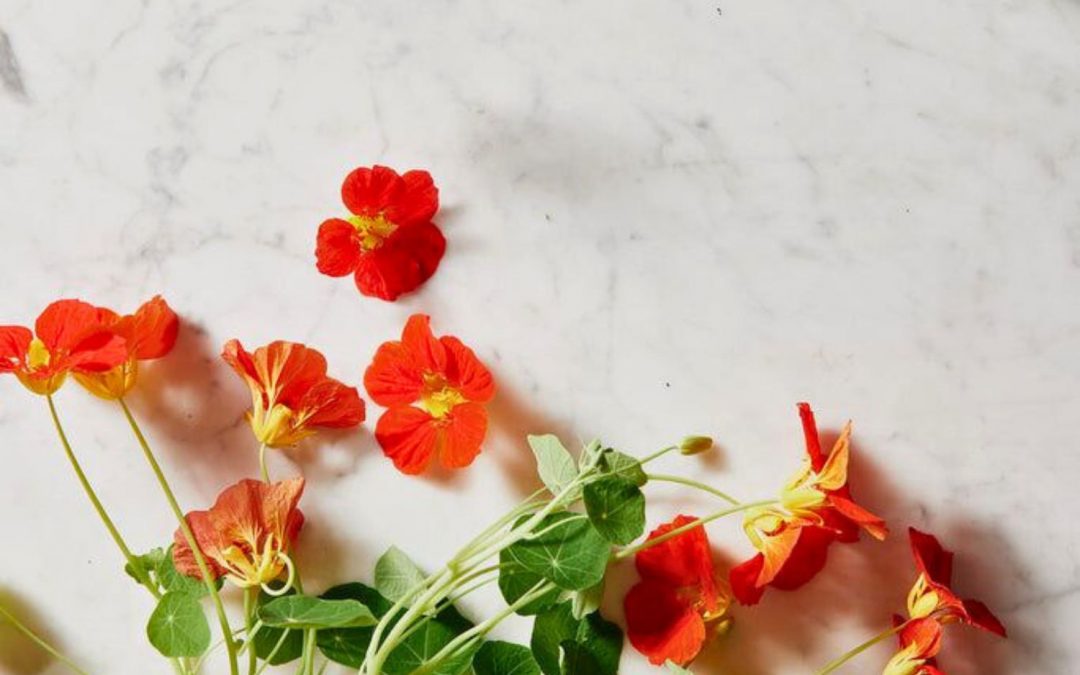 Comment utiliser la capucine : recettes et bienfaits (en cuisine et en soin)