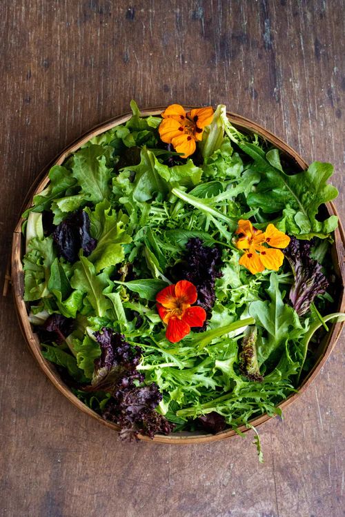salade aux fleurs de capucines en flat lay