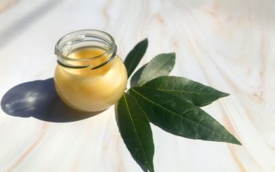 Baume de laurier maison : la recette ancestrale pour apaiser le corps